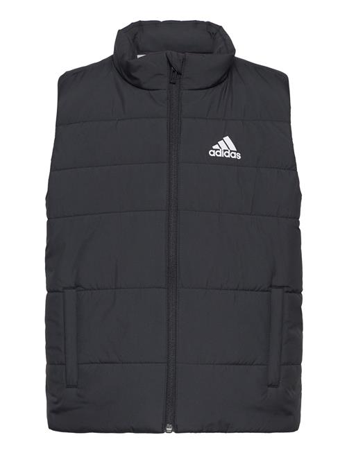 Se adidas Sportswear Jk Pad Vest Adidas Sportswear Black ved Booztlet