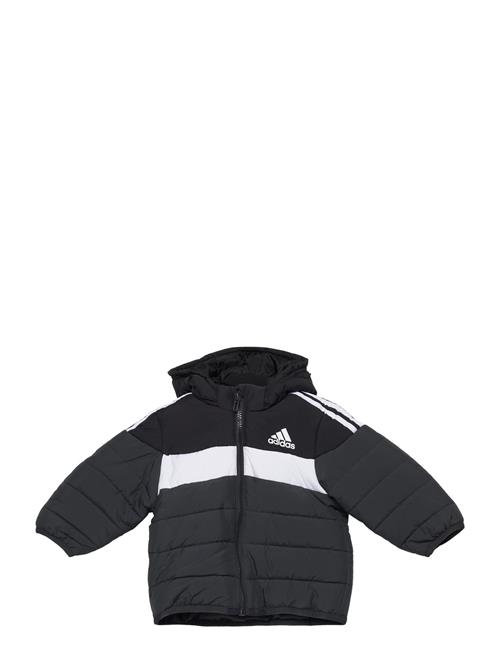 In F Pad Jkt Adidas Sportswear Black