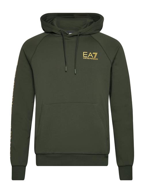 EA7 Jerseywear EA7 Khaki