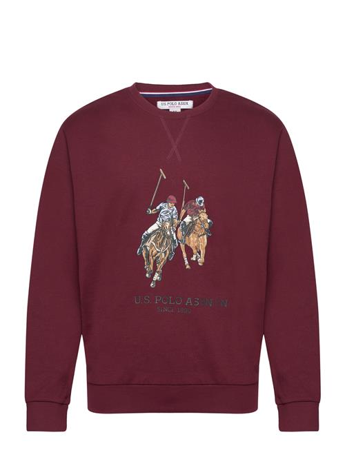 Se U.S. Polo Assn. Uspa Sweat O Neck Ekrem Men U.S. Polo Assn. Burgundy ved Booztlet