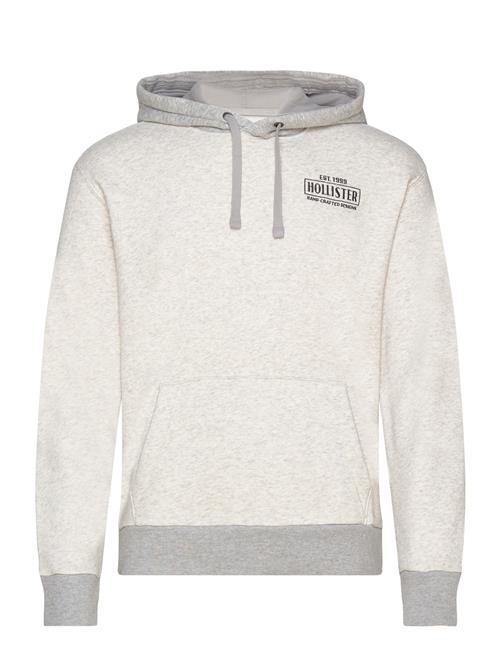 Hollister Hco. Guys Sweatshirts Hollister Grey