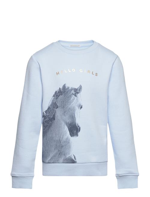 Se Tom Tailor Artwork Sweatshirt Tom Tailor Blue ved Booztlet