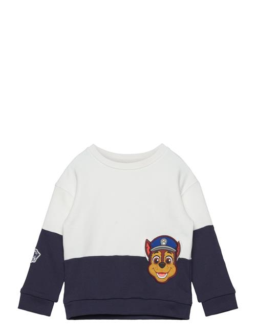 Se Mango Paw Patrol Sweatshirt Mango Patterned ved Booztlet