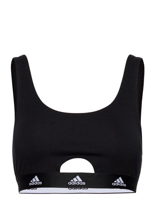 Bustier Adidas Underwear Black