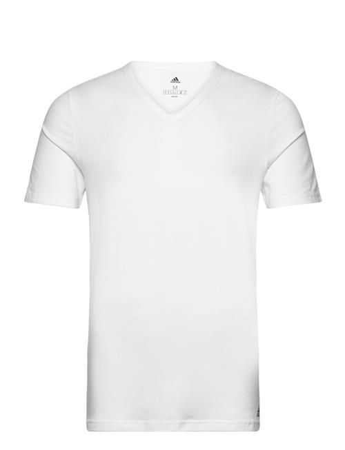 Se adidas Underwear V-Neck Adidas Underwear White ved Booztlet