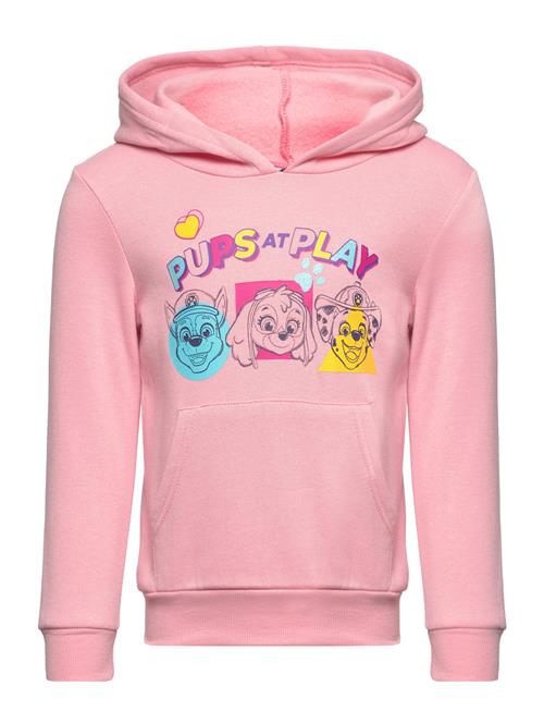 Se Paw Patrol Sweat Kangourou Paw Patrol Pink ved Booztlet