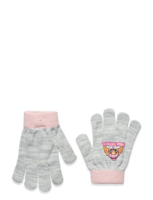 Paw Patrol Gloves Paw Patrol Grey