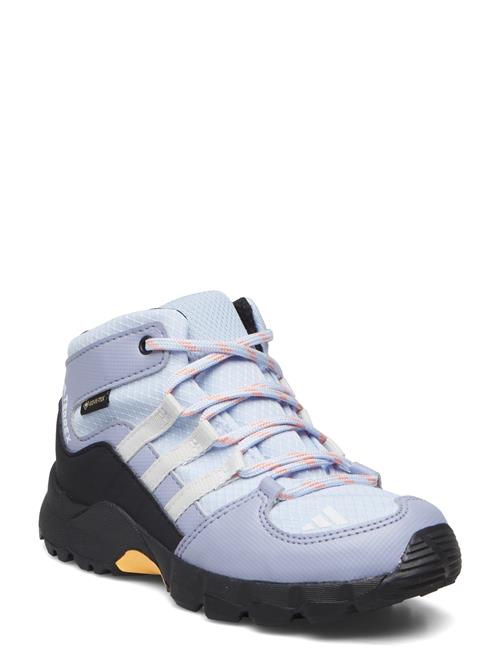 adidas Terrex Terrex Mid Gtx I Adidas Terrex Blue