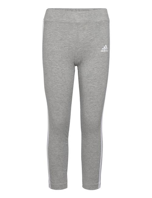 Se adidas Sportswear Lk 3S Tight Adidas Sportswear Grey ved Booztlet