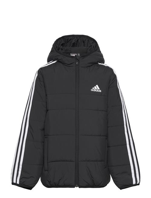 3-Stripes Padded Jacket Kids Adidas Sportswear Black