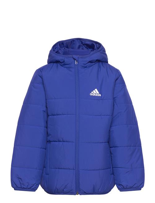 Padded Jacket Kids Adidas Sportswear Blue