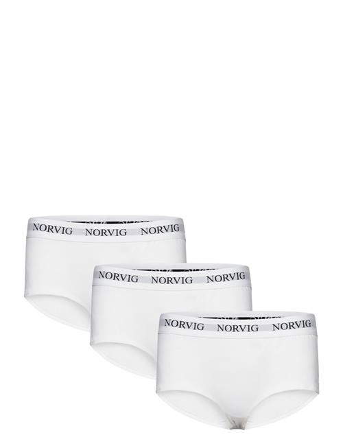 Se NORVIG 3-Pack Womens Hipster NORVIG White ved Booztlet