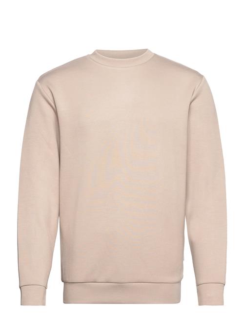 Selected Homme Slhemanuel Soft Crew Neck Sweat Noos Selected Homme Beige