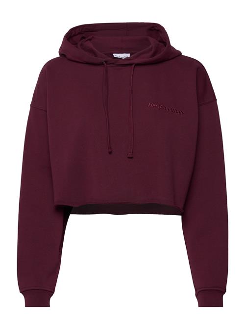 H2O Fagerholt Pro Cropped Sweat Hoodie H2O Fagerholt Burgundy