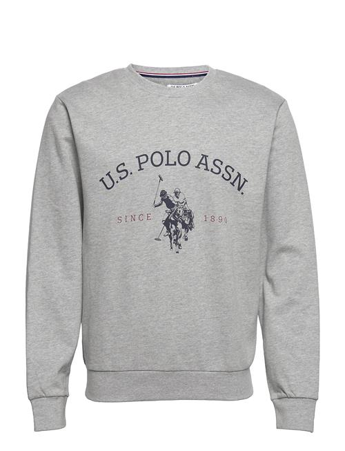 Se U.S. Polo Assn. Uspa Sweatshirt Brant Men U.S. Polo Assn. Grey ved Booztlet