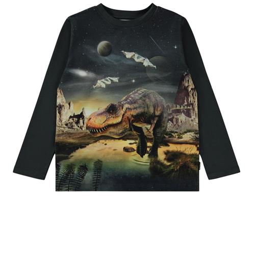 Se Molo GOTS Reif Langærmet T-shirt Rex Planet | Grønn | 164 cm ved Babyshop