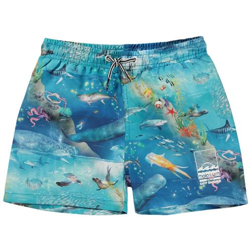 Se Molo Niko Badebukser Ocean Zones | Blå | 92/98 cm ved Babyshop