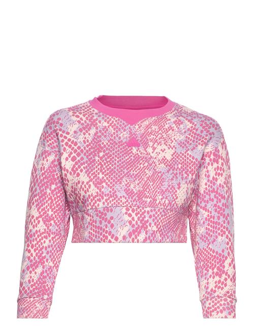 Se adidas Sportswear G Fi Aop Swt Adidas Sportswear Pink ved Booztlet