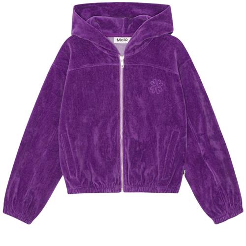 Molo Madeleine Hættetrøje Purple Dusk | Lilla | 116 cm