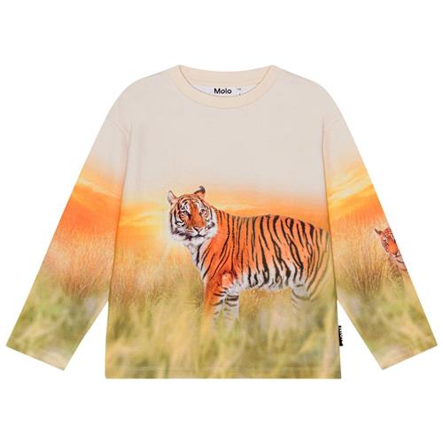 Molo GOTS Mountoo Sweatshirt Sunrise Tiger | Orange | 164 cm