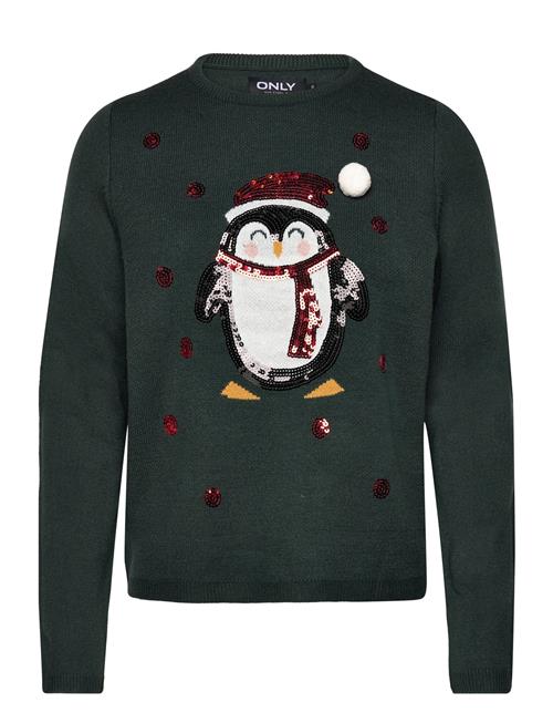 ONLY Onlxmas Pinguin Pullover Ex Knt ONLY Green