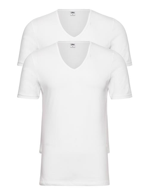 JBS Jbs 2-Pack T-Shirt V-Neck Gots JBS White