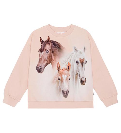 Molo Molo Sweatshirt - Maxi - Three Friends