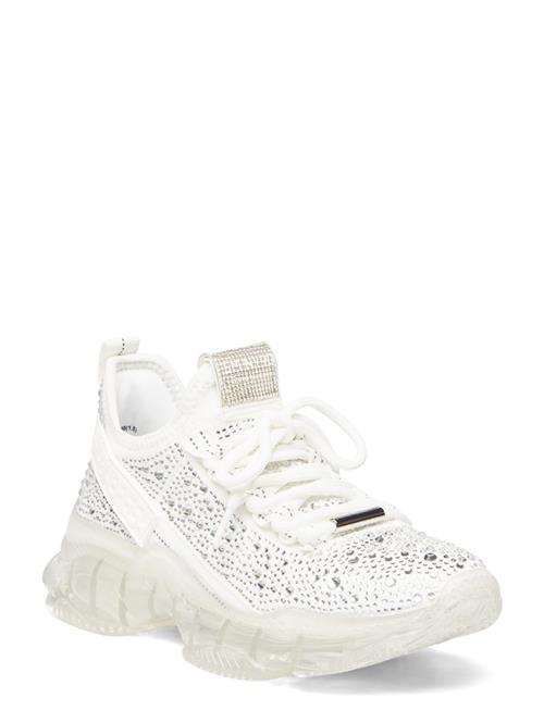 Maxima-R Sneaker Steve Madden White