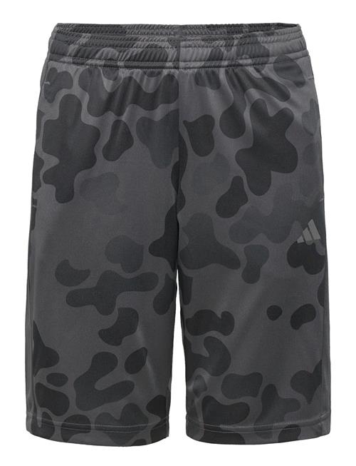 J Tr-Es Aop Sh Adidas Performance Grey