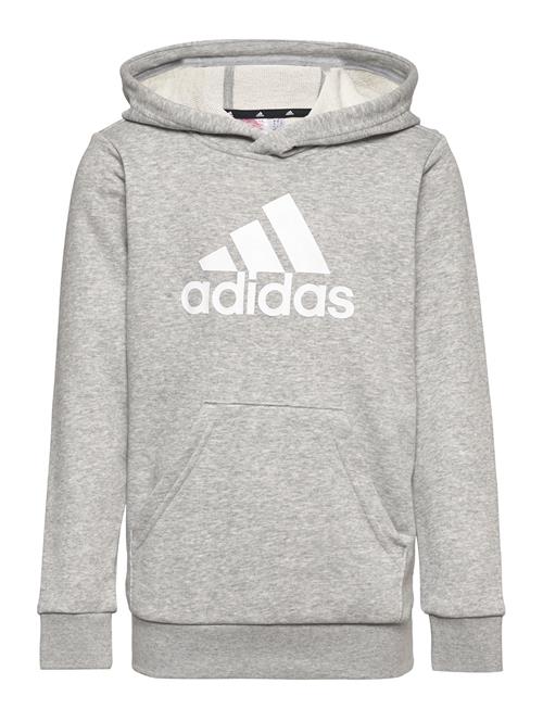 adidas Performance U Bl Hoodie Adidas Performance Grey