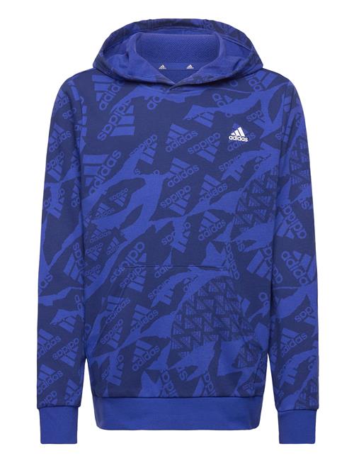 adidas Performance J Camlog Ft Hd Adidas Performance Blue