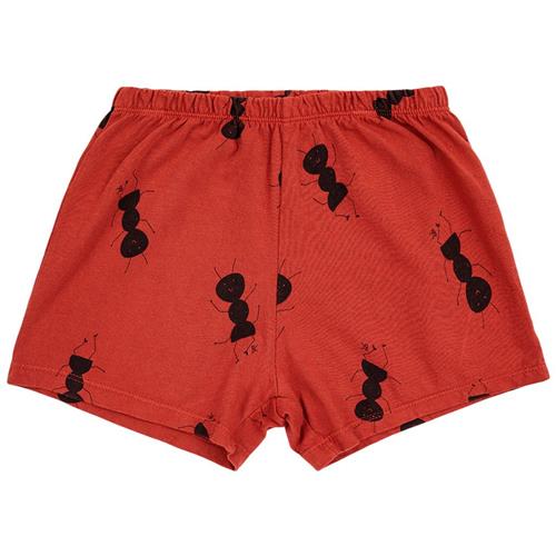 Se Bobo Choses Ant Mønstrete Baby-shorts Rød | Rød | 12 months ved Babyshop