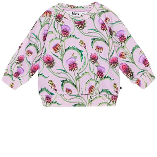 Molo GOTS Disc Sweatshirt Artichoke Mini 74 cm  Lyserød  74 cm  kvinde