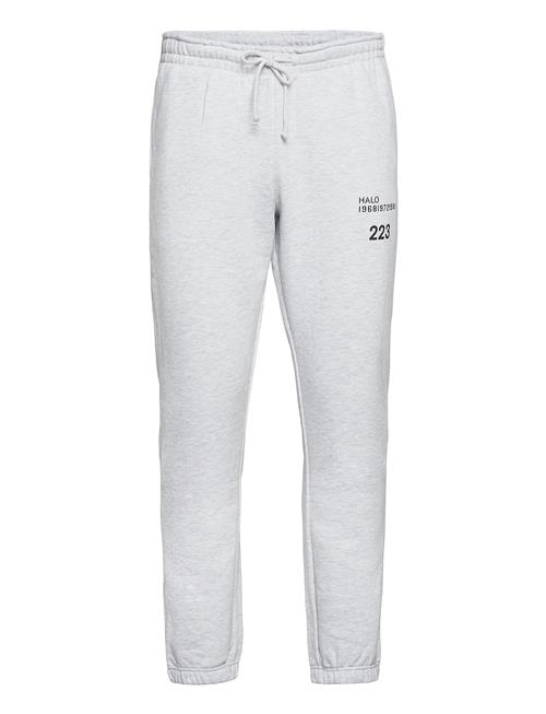 Se HALO Halo Cotton Sweatpants HALO Grey ved Booztlet