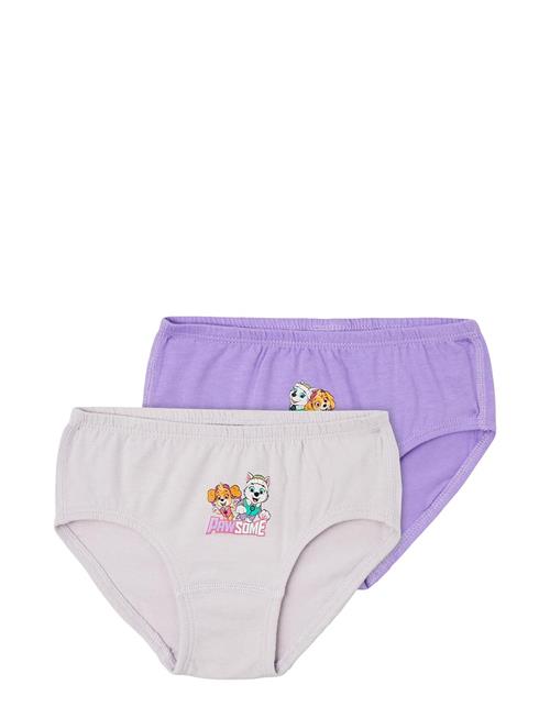 Nmfjuma Pawpatrol 2P Briefs Noos Cplg Name It Patterned