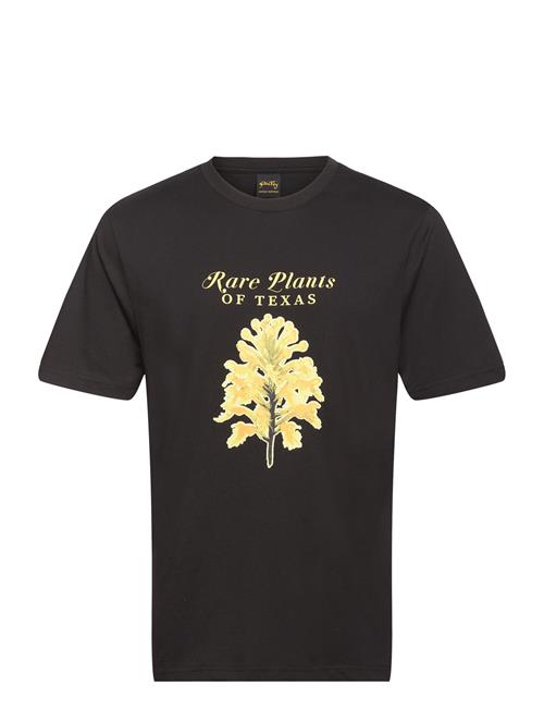 Rare Plants Tee Stan Ray Black