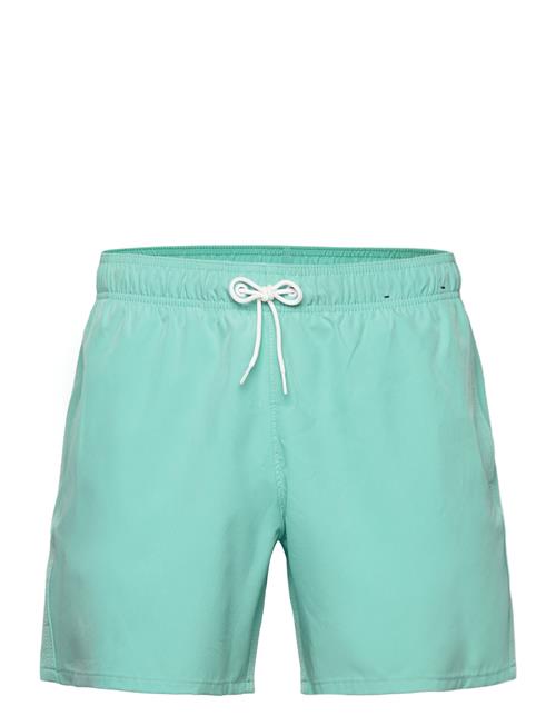 Hollister Hco. Guys Swim Hollister Green