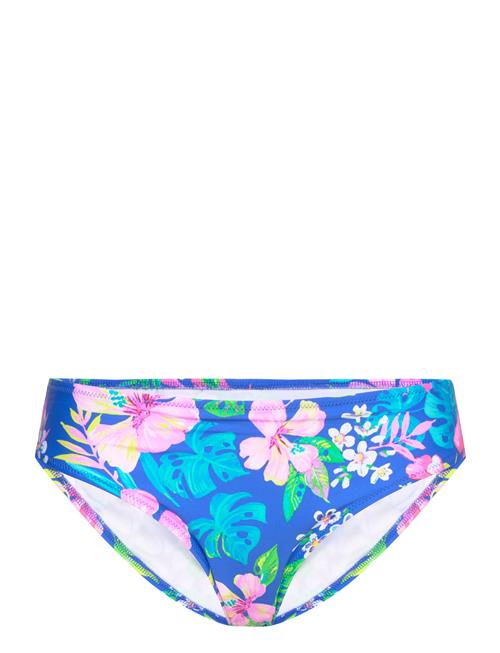 Freya Hot Tropics Bikini Brief Freya Blue