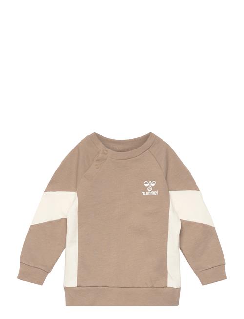 Hmlkris Sweatshirt Hummel Brown