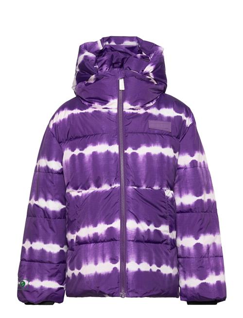 Hilo Molo Purple