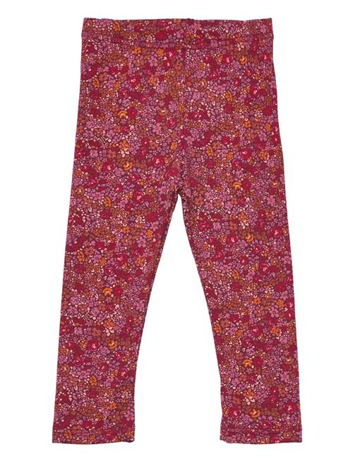 Se Müsli by Green Cotton Petit Blossom Leggings Baby Müsli By Green Cotton Red ved Booztlet