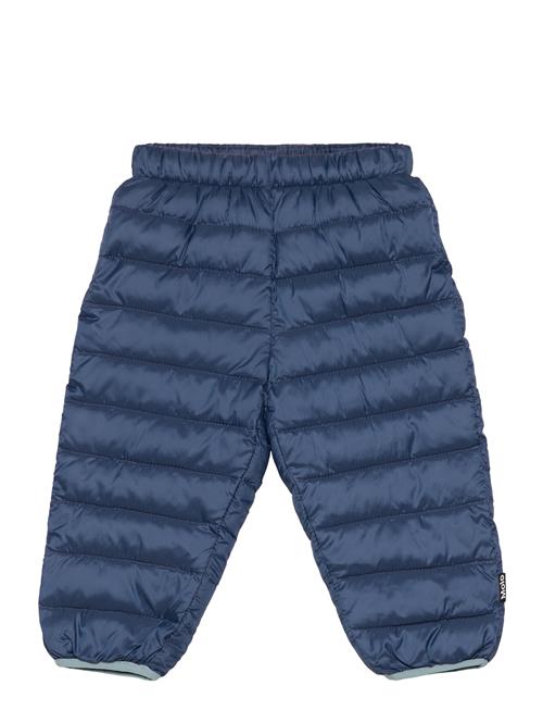 Molo Percy Molo Navy