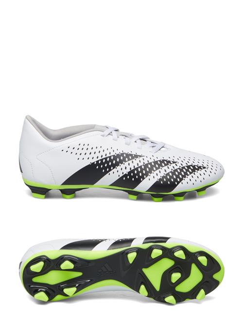 adidas Performance Predator Accuracy.4 Fxg Adidas Performance White