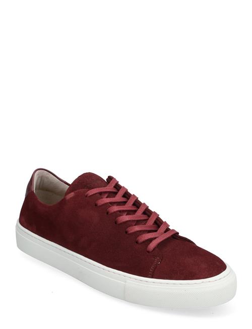 Moore Suede Chocolate Sneaky Steve Burgundy