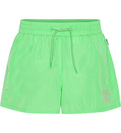 Molo Shorts - Addie - Classic Green