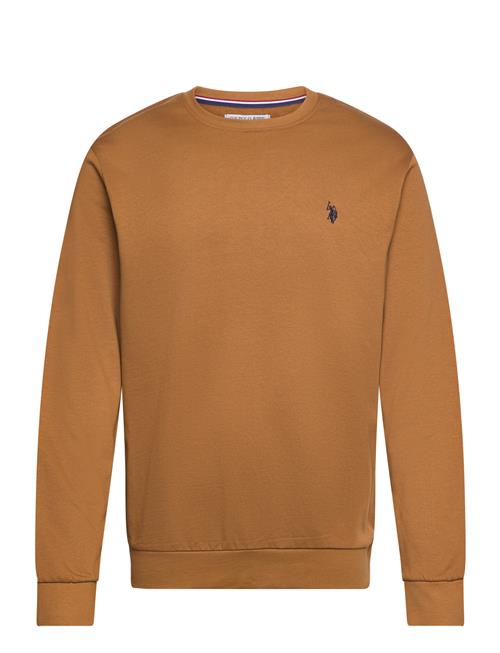 Se U.S. Polo Assn. Uspa Sweat O Neck Adler Men U.S. Polo Assn. Brown ved Booztlet