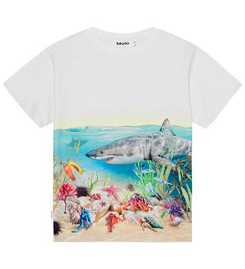 Se Molo Molo T-shirt - Raveno - Shore Sharks ved KidsWorld