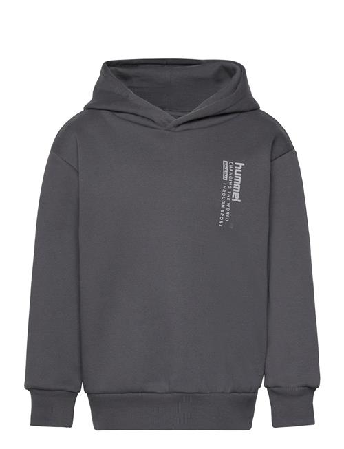 Hmldante Hoodie Hummel Grey