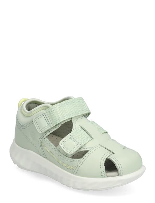 Se ECCO Sp1 Lite Infant Sandal ECCO Green ved Booztlet