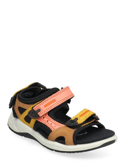 Se X-Trinsic K ECCO Patterned ved Booztlet